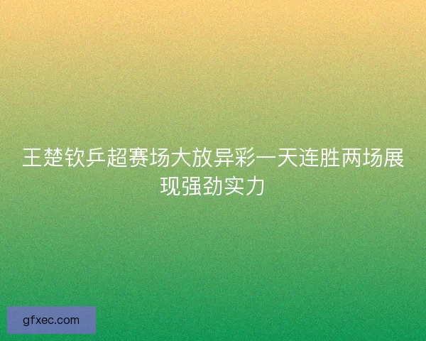 王楚钦乒超赛场大放异彩一天连胜两场展现强劲实力