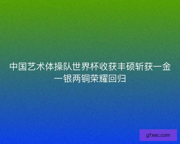 中国艺术体操队世界杯收获丰硕斩获一金一银两铜荣耀回归
